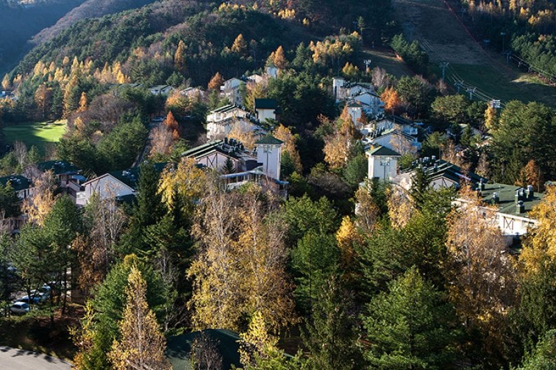 Yongpyong Resort Villa Condo  (4/5)