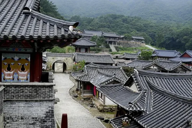 Dae Jang Geum Park  (4/19)