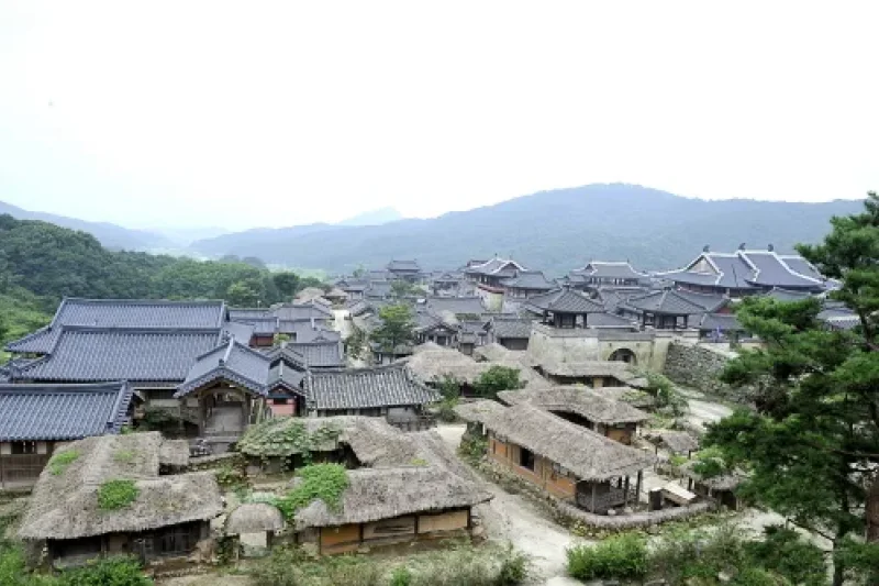 Dae Jang Geum Park  (6/19)
