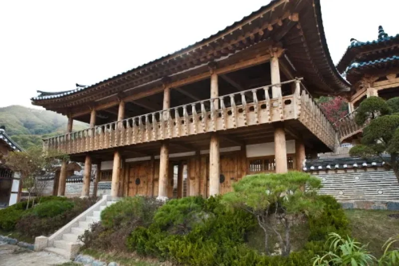 Dae Jang Geum Park  (17/19)