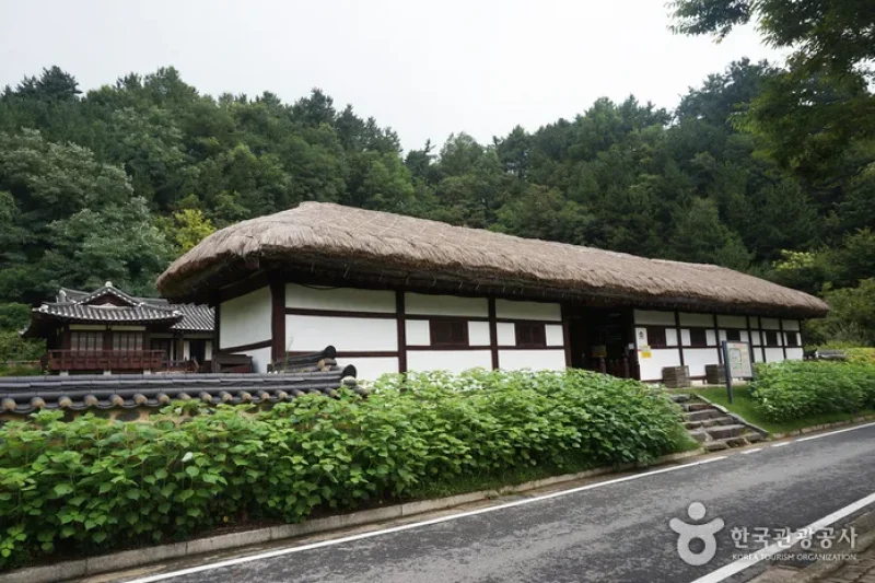 Hansan Mosi  (1/25)