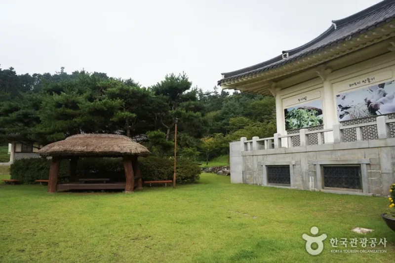 Hansan Mosi  (6/25)