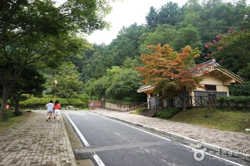 Hansan Mosi  (25/25)