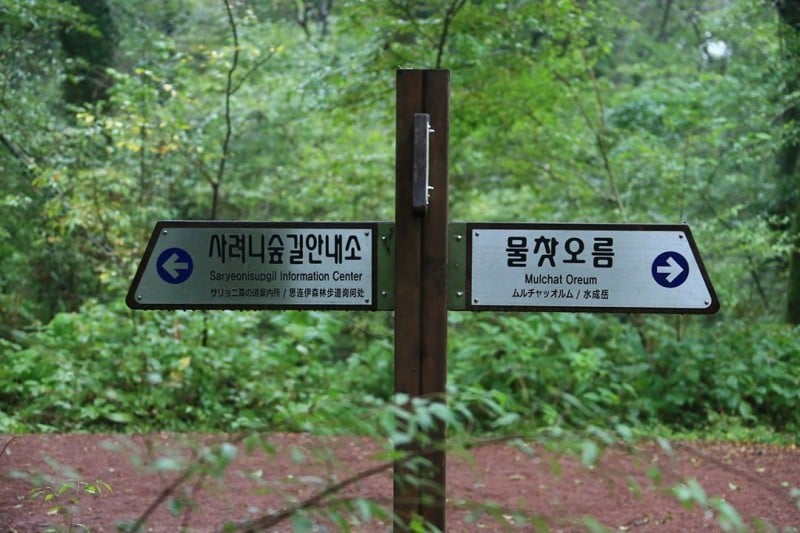 Saryeoni Forest Trail  (3/15)