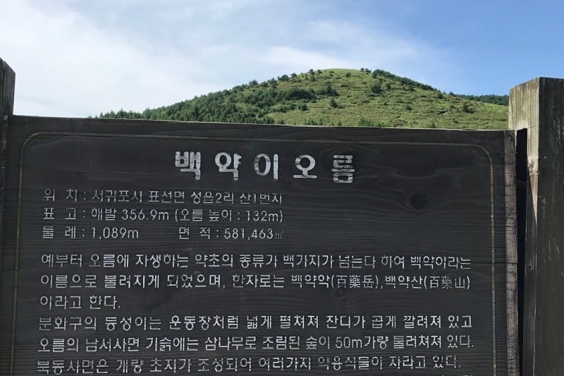 Saryeoni Forest Trail  (6/15)