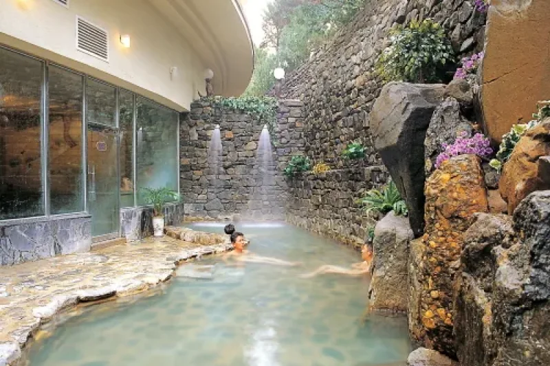 Onyang Hot Spring Hotel  (5/12)