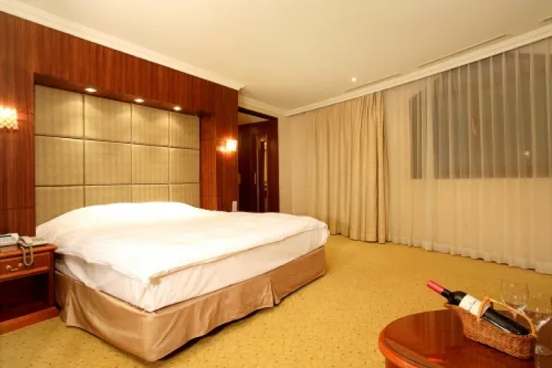 Onyang Hot Spring Hotel  (9/12)