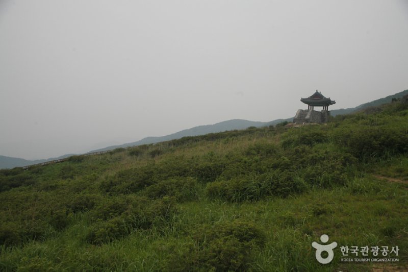 Hwangmaesan County Park  (3/10)