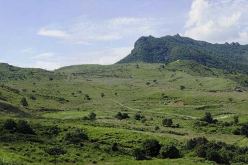 Hwangmaesan County Park  (5/10)
