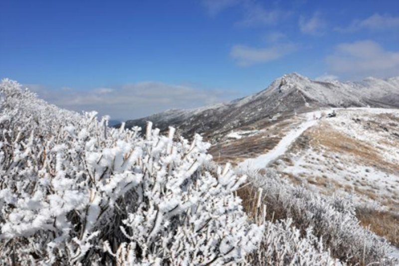 Hwangmaesan County Park  (7/10)
