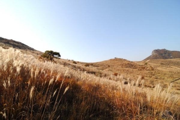 Hwangmaesan County Park