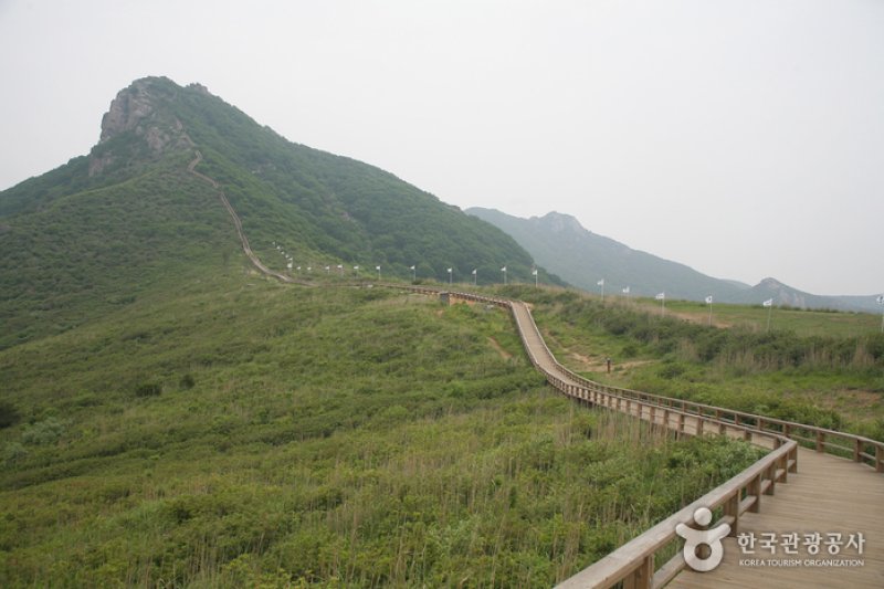 Hwangmaesan County Park  (9/10)