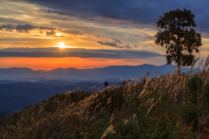 Hwangmaesan County Park  (10/10)