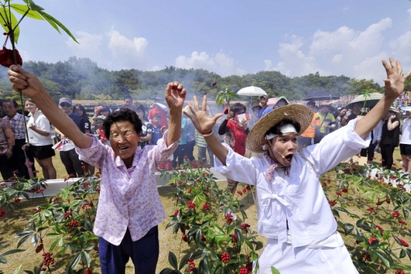 Hamyang Wild Ginseng Festival  (1/5)