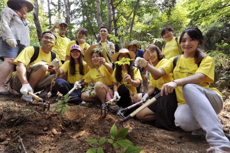 Hamyang Wild Ginseng Festival  (2/5)