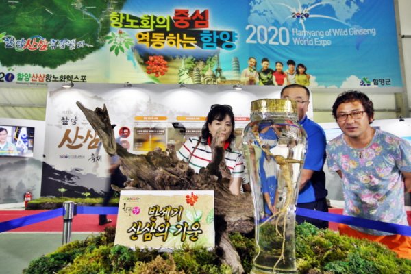 Hamyang Wild Ginseng Festival