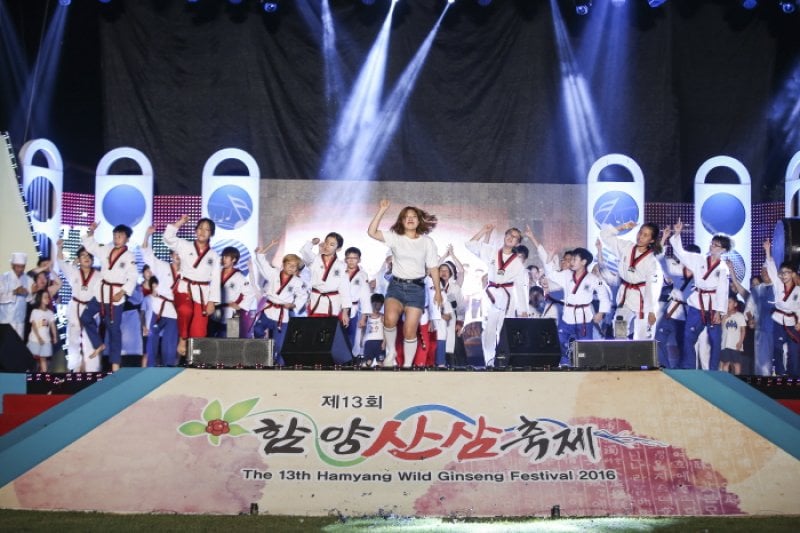 Hamyang Wild Ginseng Festival  (4/5)