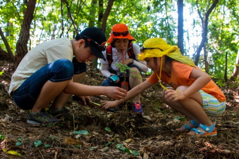 Hamyang Wild Ginseng Festival  (5/5)