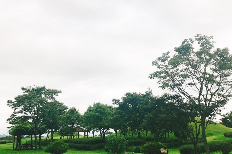 Naju National Museum 