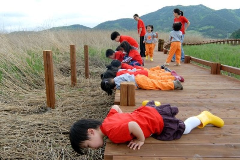 Suncheon Bay Reeds Festival  (4/7)
