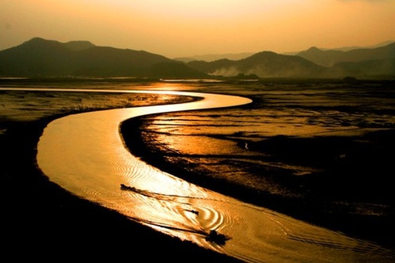 Suncheon Bay Reeds Festival  (7/7)