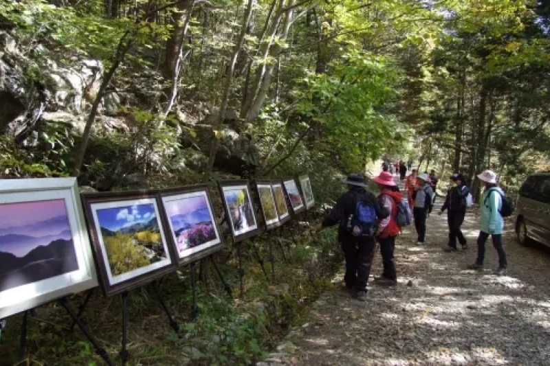 Piagol Autumn Foliage Festival  (3/3)