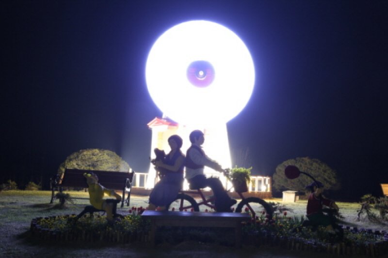 Shinan Tulip Festival  (1/6)