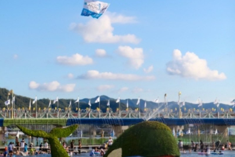 Jeongnamjin Jangheung Water Festival  (1/11)