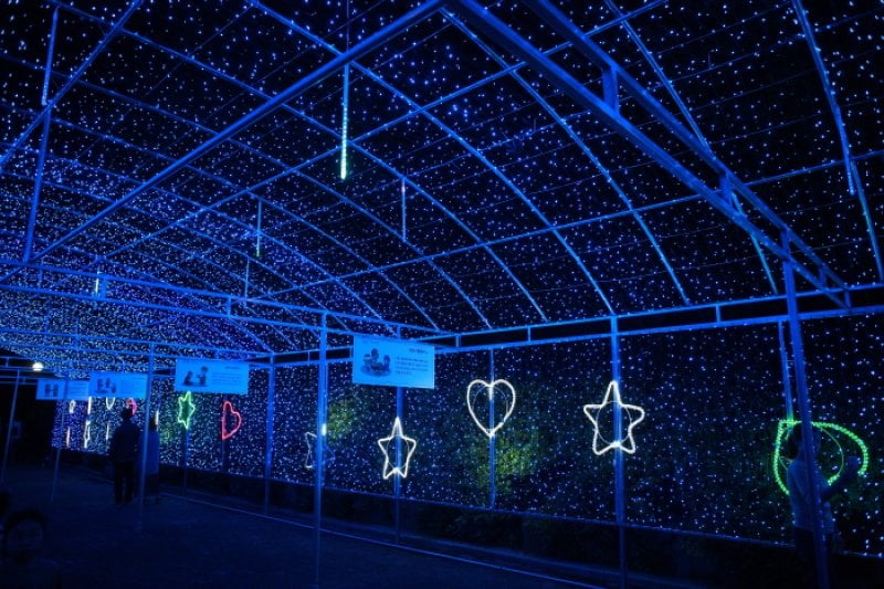 Iksan Seodong Festival  (9/9)