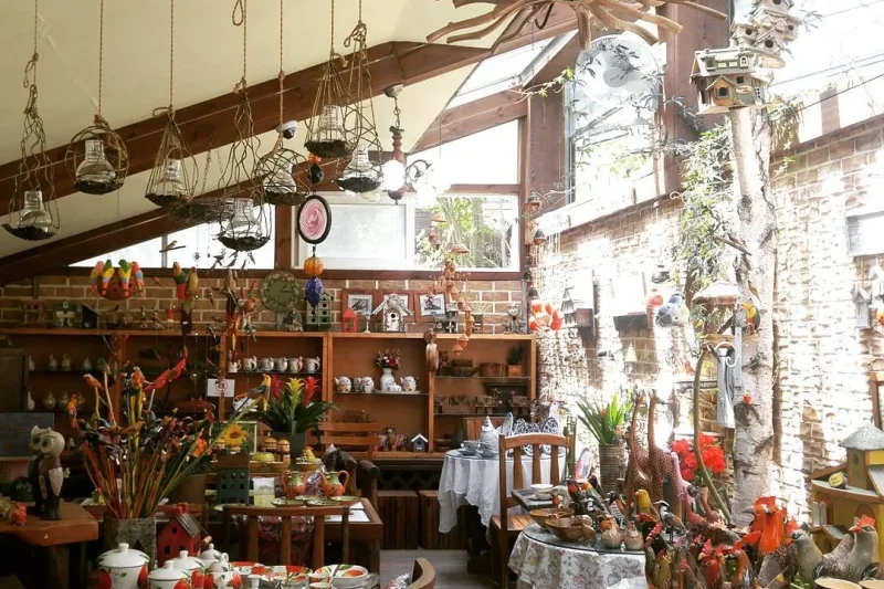 Gangwon-do ginseng experience 1 day tour TKkorea (3/8)