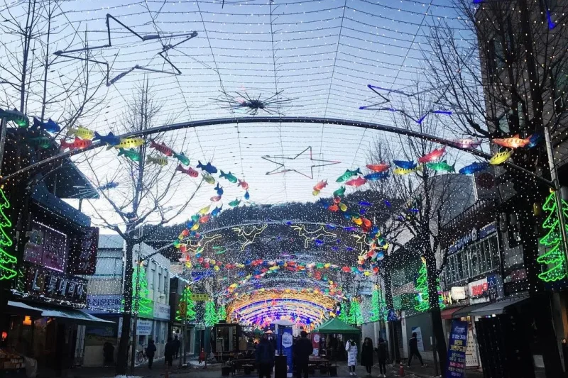 Hwacheon Sancheoneo Ice Festival One Day Tour (1/9)