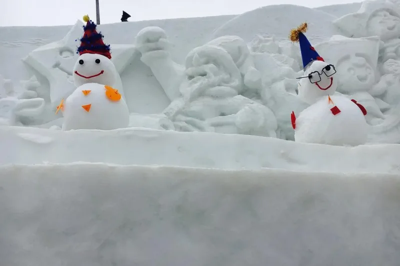 Hwacheon Sancheoneo Ice Festival One Day Tour (4/9)