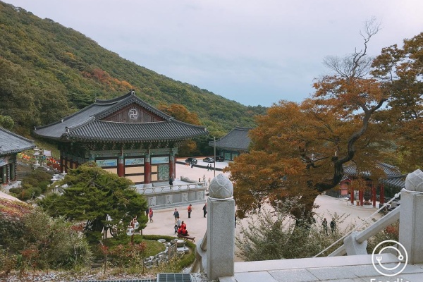 October: Incheon Colored in Red Autumn, the Season for Memories