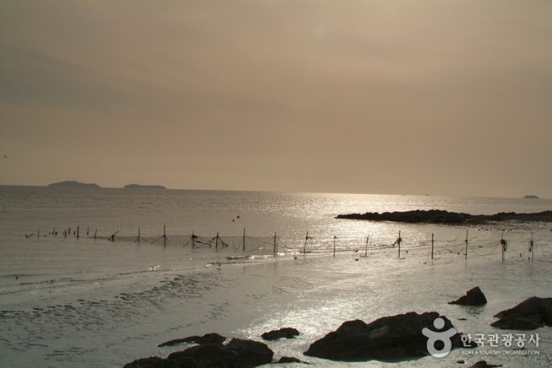 Seongmodo Island (3/25)