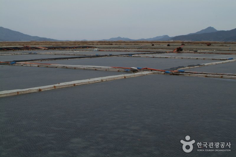 Seongmodo Island (4/25)