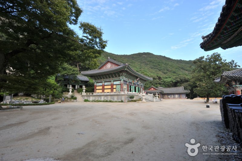 Seongmodo Island (11/25)