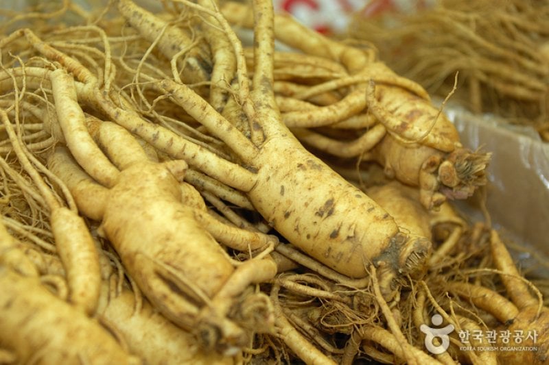 Ganghwa Ginseng Center (2/5)