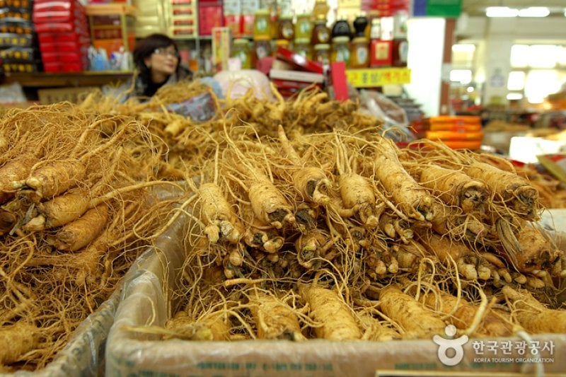 Ganghwa Ginseng Center (4/5)