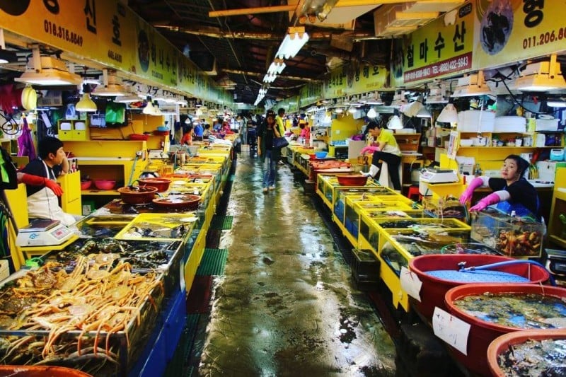 Sorae Fish Market (1/14)