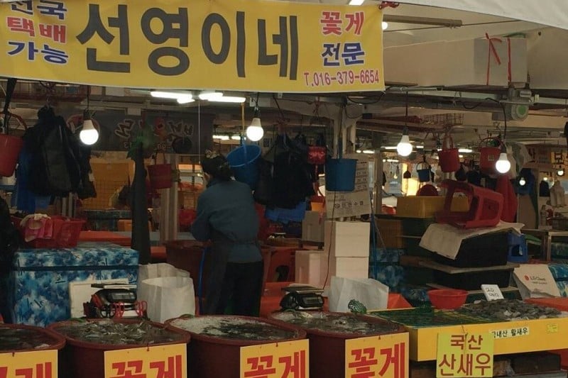 Sorae Fish Market (4/14)