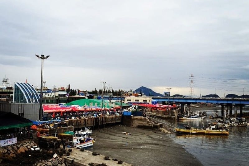 Sorae Fish Market (10/14)
