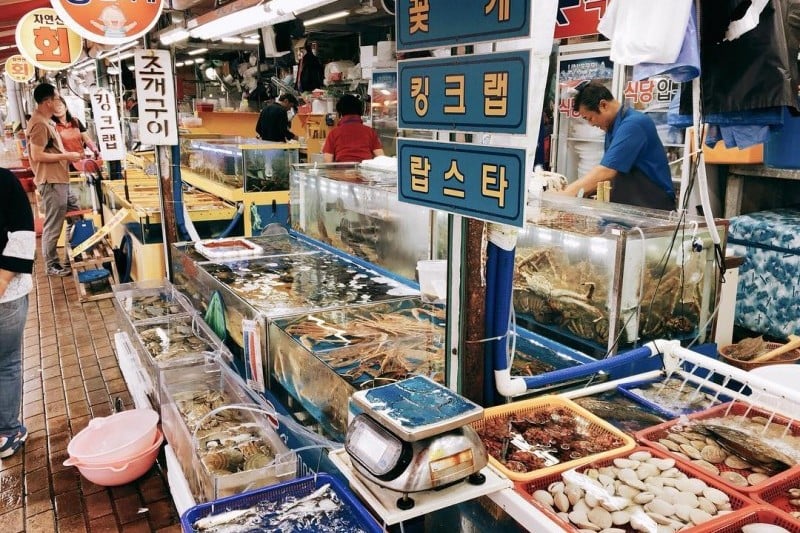 Sorae Fish Market (11/14)