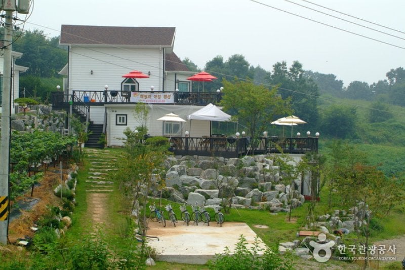 Sindo Island (5/6)