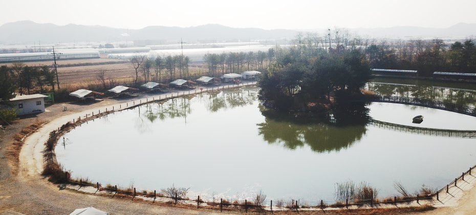 Yongin Songwon Glamping Park Camping Tour &amp; Everland (4/51)
