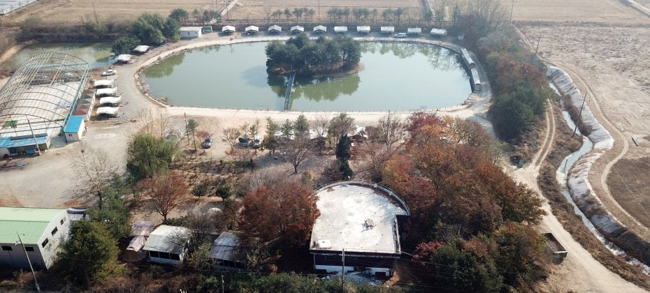 Yongin Songwon Glamping Park Camping Tour &amp; Everland (5/51)