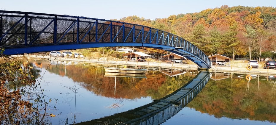 Yongin Songwon Glamping Park Camping Tour &amp; Everland (21/51)