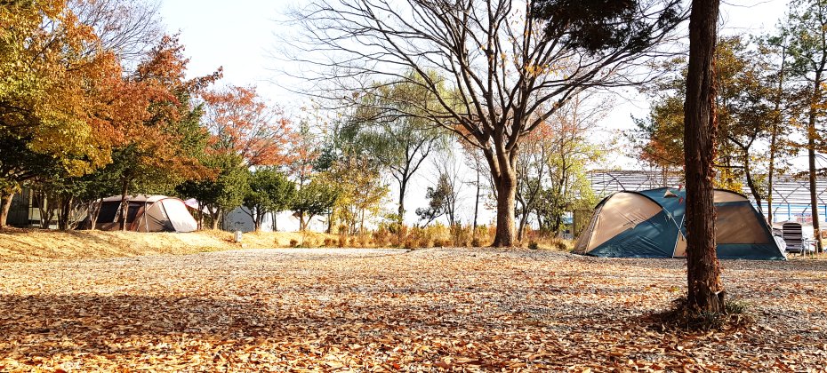 Yongin Songwon Glamping Park Camping Tour &amp; Everland (22/51)