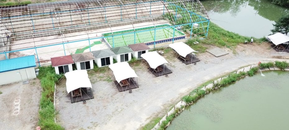 Yongin Songwon Glamping Park Camping Tour &amp; Everland (26/51)