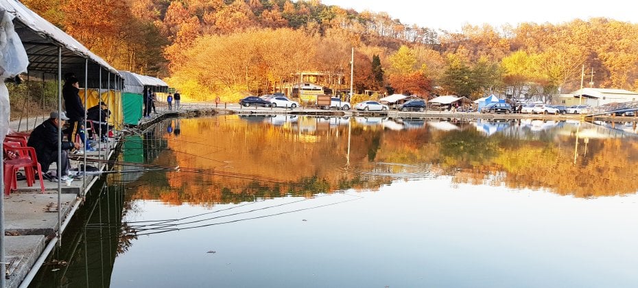 Yongin Songwon Glamping Park Camping Tour &amp; Everland (28/51)