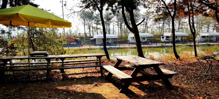 Yongin Songwon Glamping Park Camping Tour &amp; Everland (31/51)